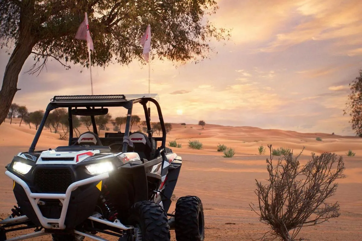 Image 0 of Dune Buggy Adventure