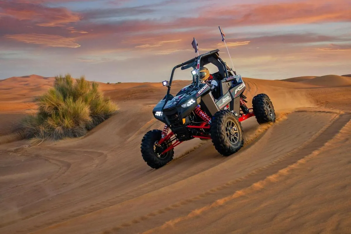 Image 4 of Dune Buggy Adventure