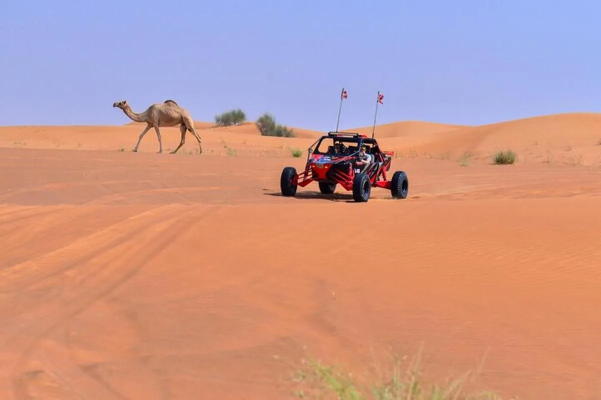 Image 4 of Dune Buggy Ride with Private BBQ Dinner in the Desert