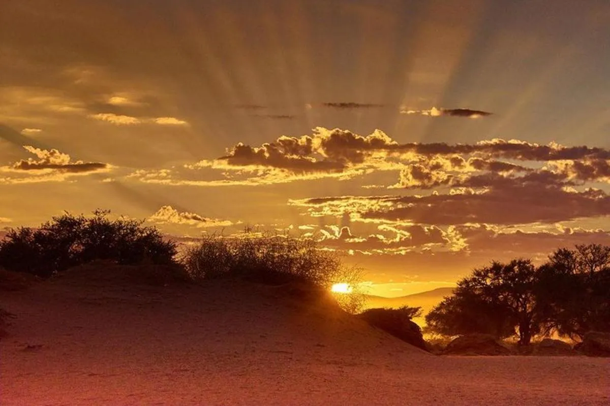 Image 1 of Early Morning Desert Safari With Camel Trekking Experience