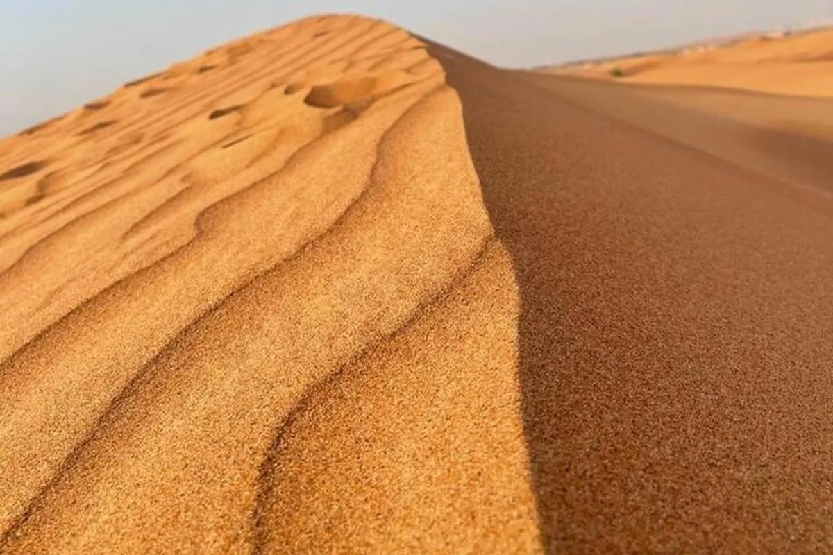 Image 5 of Evening Desert Safari Tours