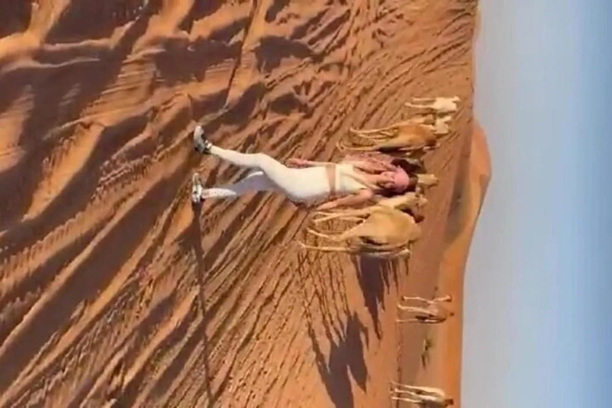 Image 2 of Evening Desert Safari with BBQ Buffet Camel Ride and Arabic Shows
