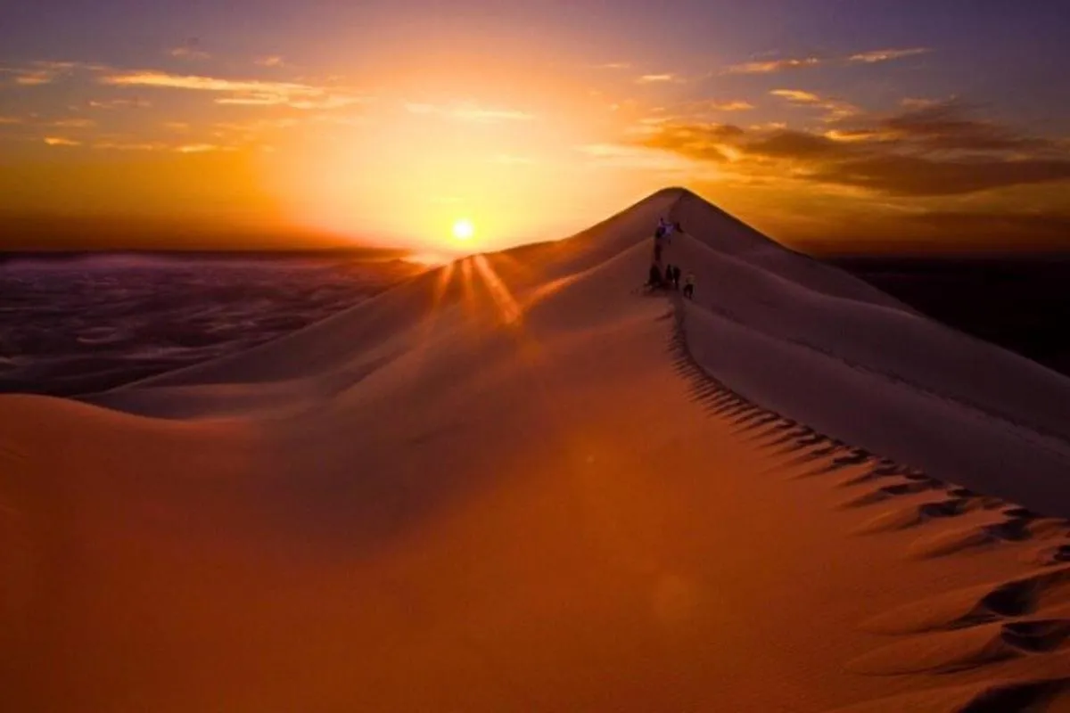 Image 2 of Evening Desert safari Dubai With Quad Bike Ride & BBQ dinner