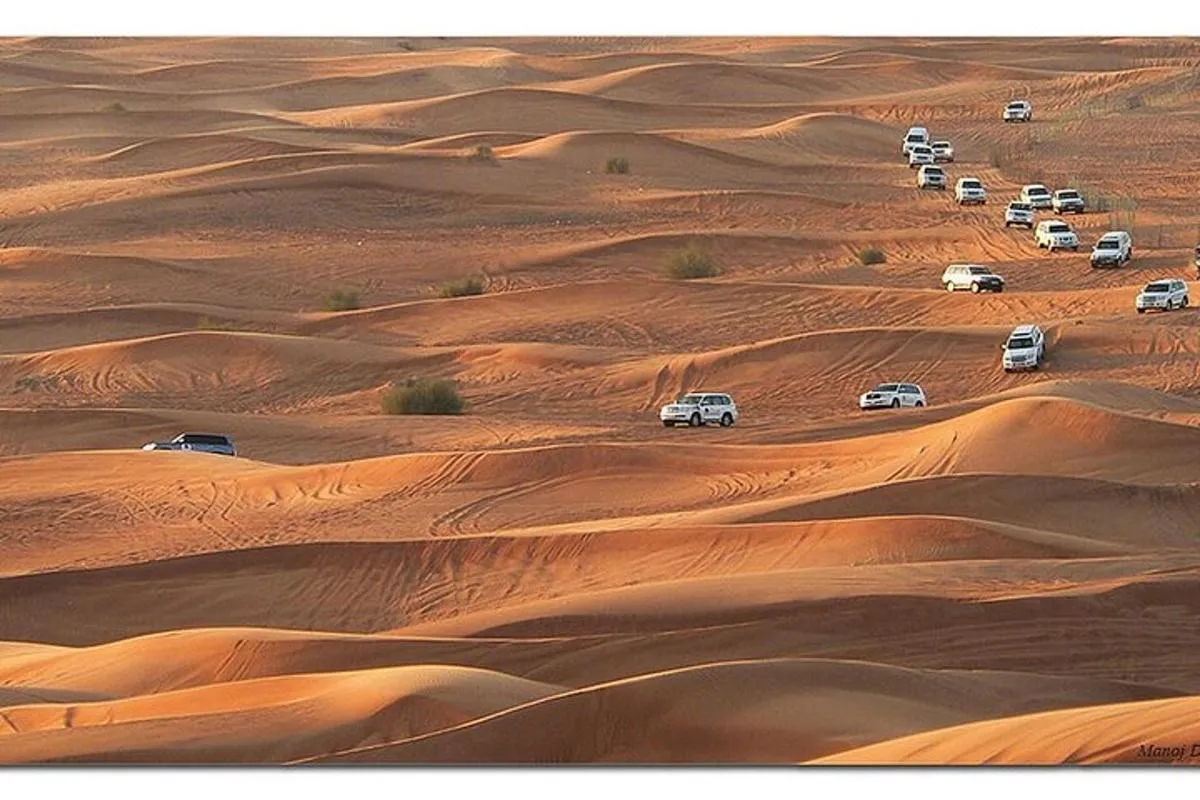 Image 6 of Exciting DXB Morning Desert Safari: Camel Ride & Sandboarding!