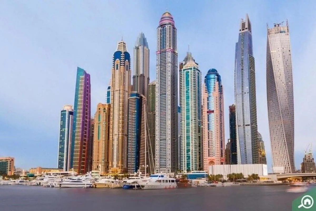 Image 3 of Exploring the City of Dubai | Complete Dubai City Tour