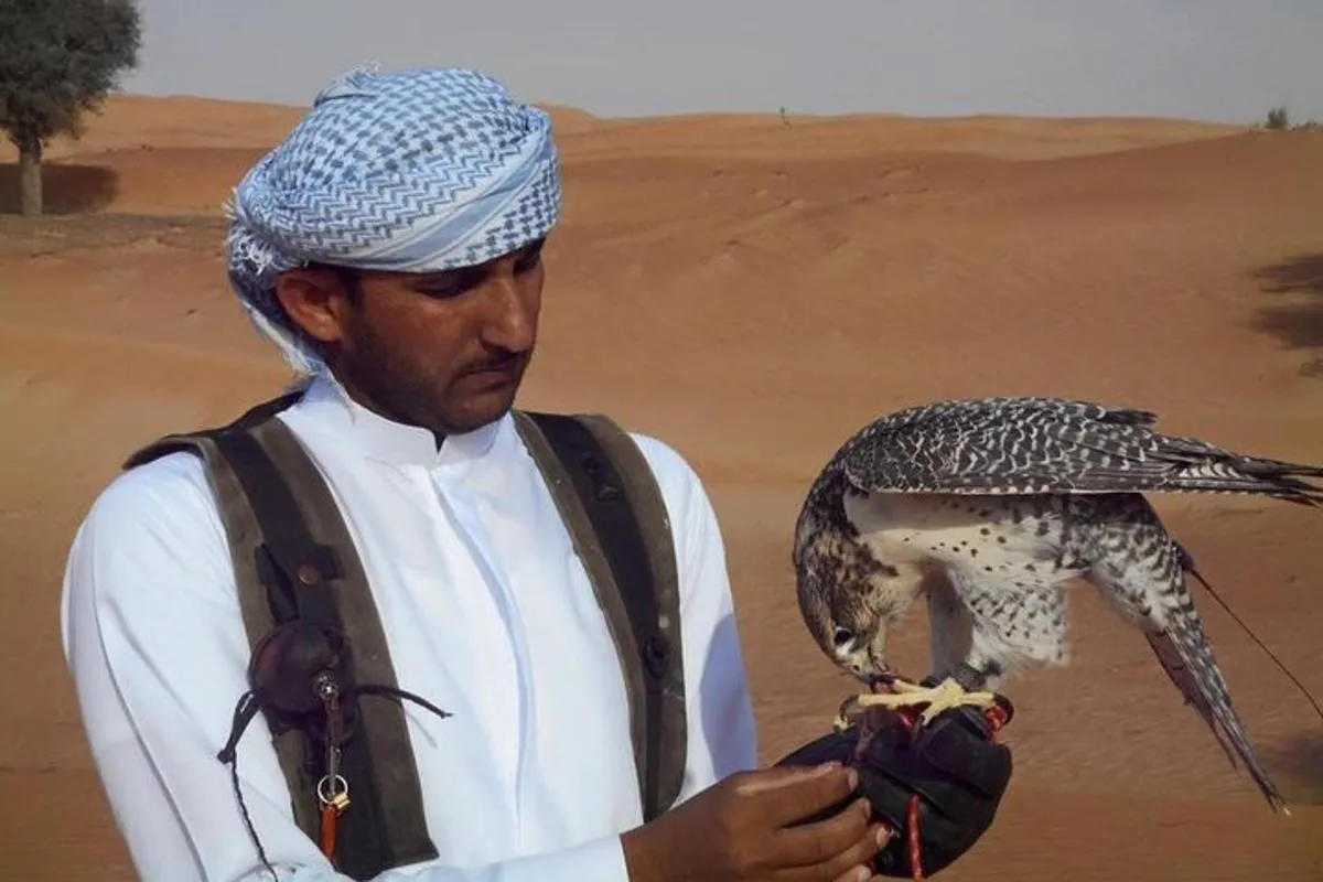 Image 6 of Falcon 1—Private Dubai Falconry Safari