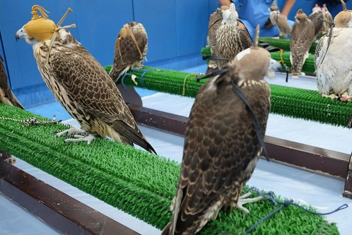 Image 0 of Falcon Hospital Tour Abu Dhabi