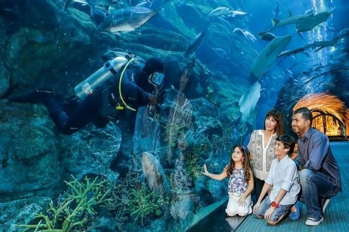 Image 1 of Full Day Dubai City Tour: Burj Khalifa & Underwater Zoo Ticket