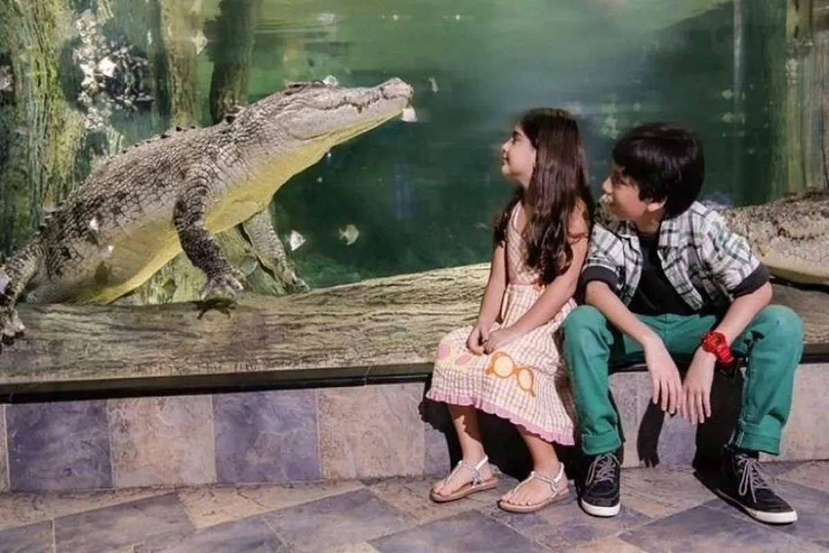 Image 3 of Full Day Dubai City Tour: Burj Khalifa & Underwater Zoo Ticket