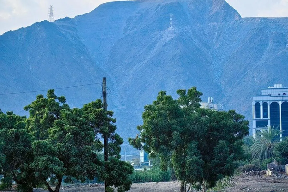 Image 5 of Full Day Private Tour in East Coast Khorfakkan