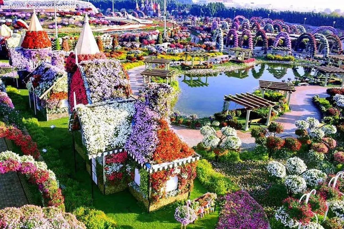 Image 3 of Global Village & Dubai Miracle Garden with Transfers
