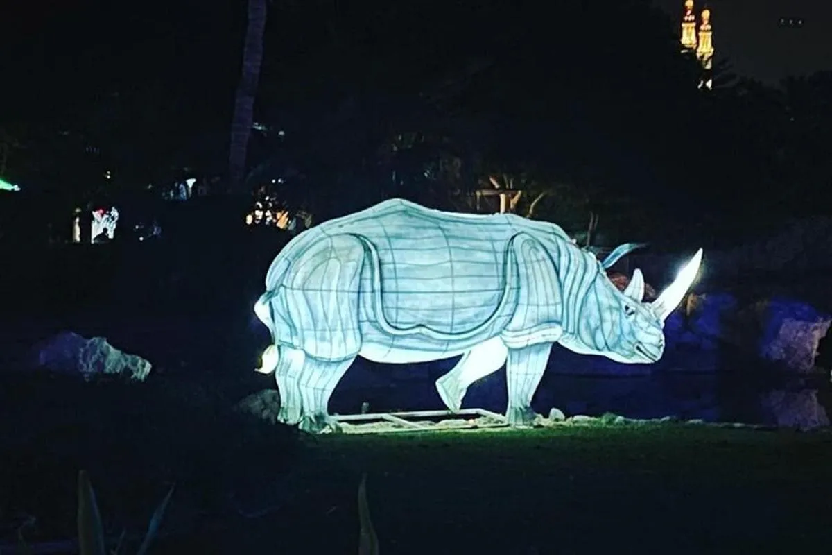 Image 3 of Glow Garden, Dino Park and Magic Park Combo Ticket