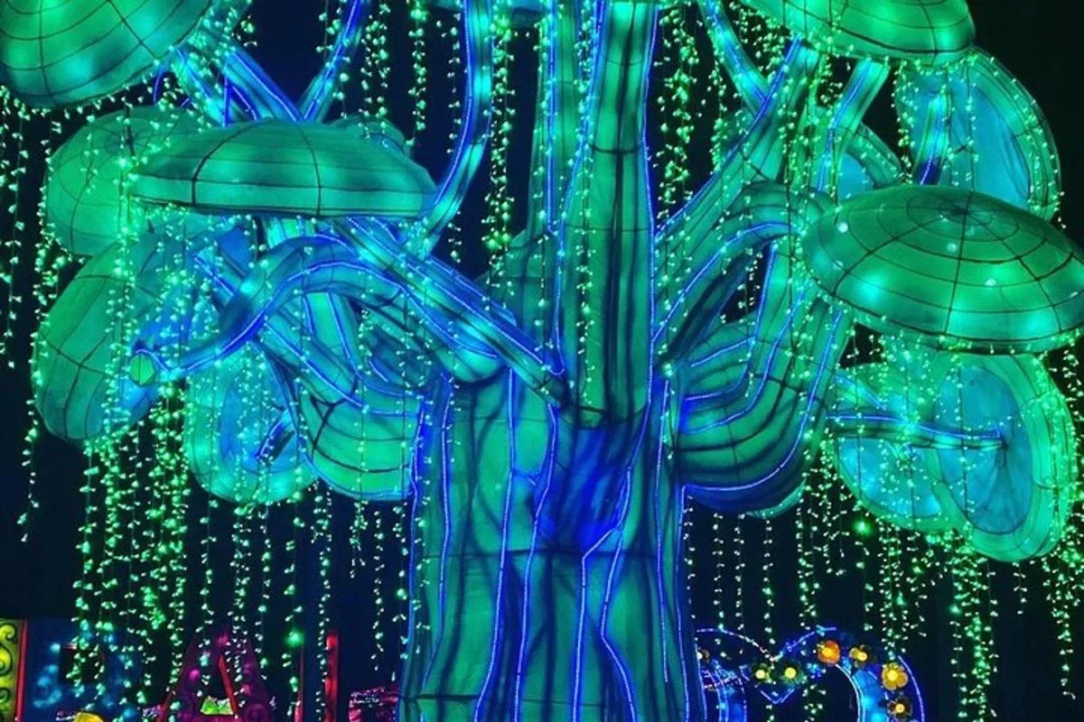 Image 5 of Glow Garden, Dino Park and Magic Park Combo Ticket