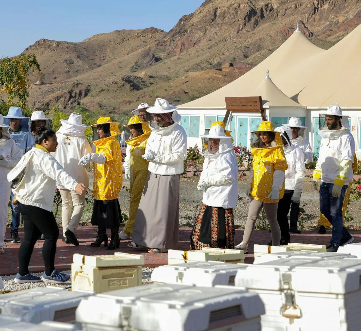Image 4 of Hatta Honeybee Garden Tour with Tasting