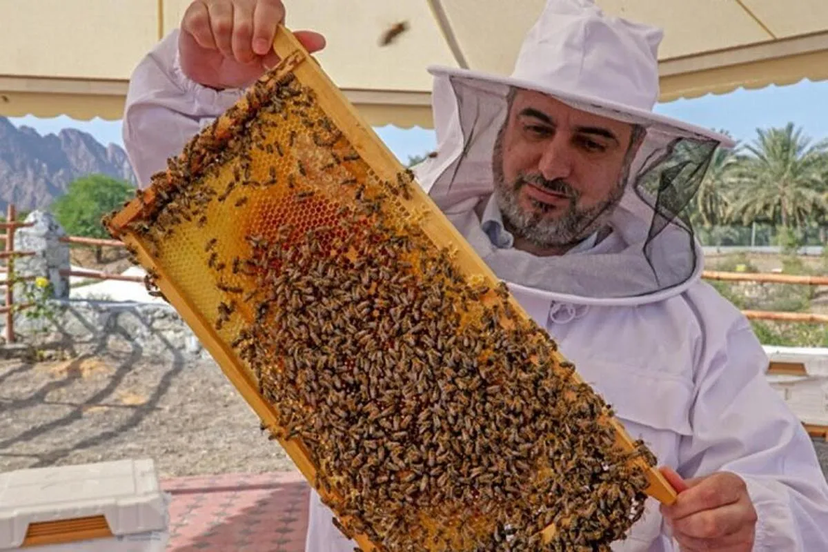 Image 3 of Hatta Mountain Tour, Hatta Dam, Heritage Village, Honeybee Garden
