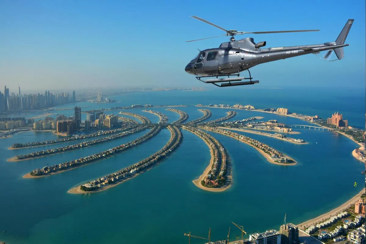 Image 3 of Helicopter and Safari Tour