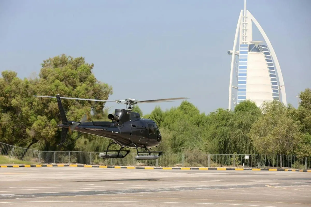 Image 6 of Helicopter and Safari Tour