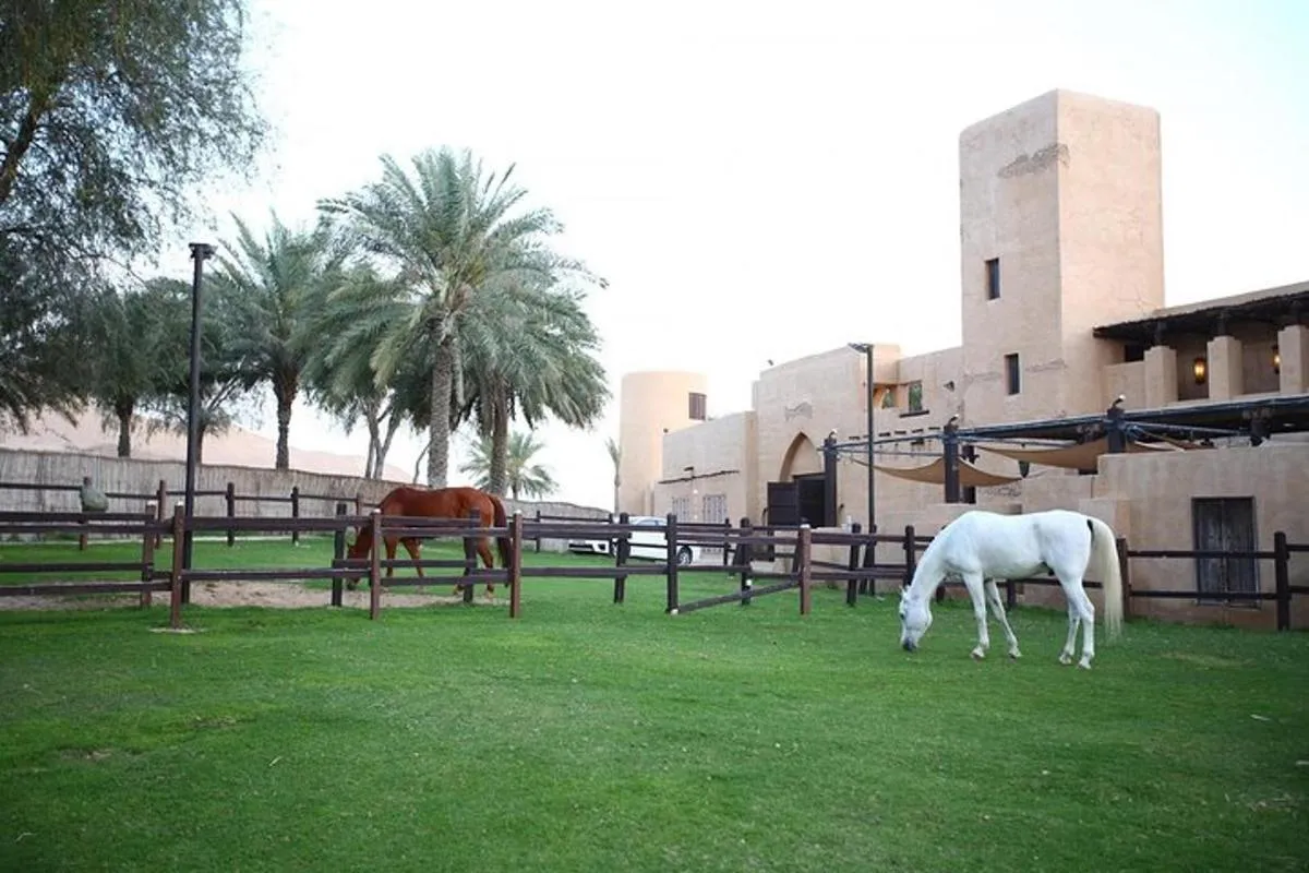 Image 0 of Horseback Riding in Dubai Desert with Transfers