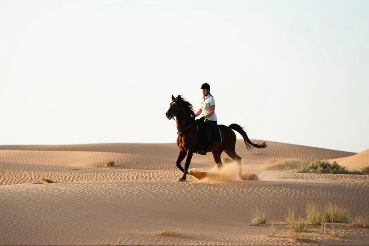 Image 1 of Horseback Riding in Dubai Desert with Transfers