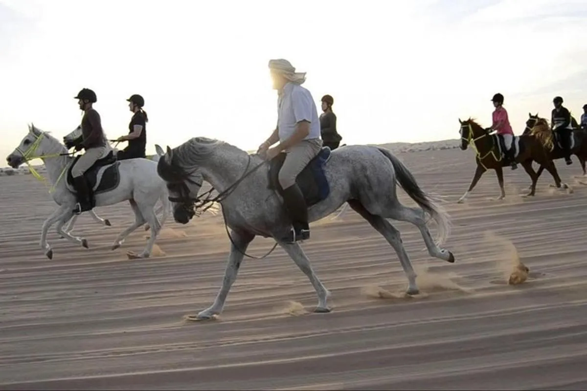 Image 3 of Horseback Riding in Dubai Desert with Transfers