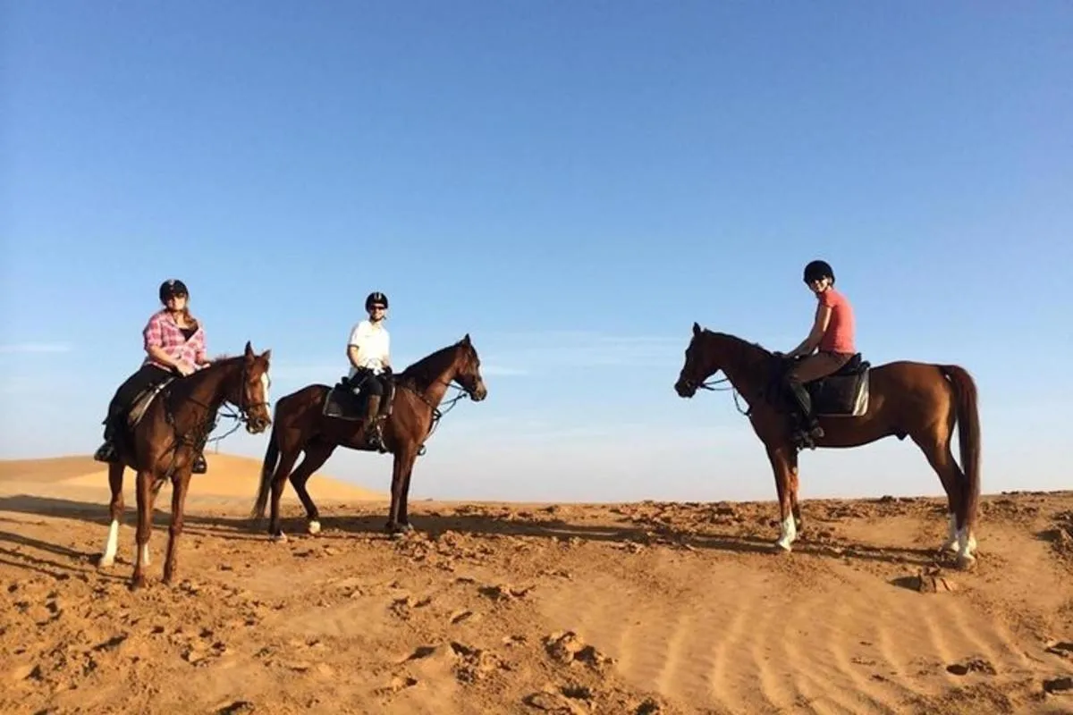 Image 5 of Horseback Riding in Dubai Desert with Transfers
