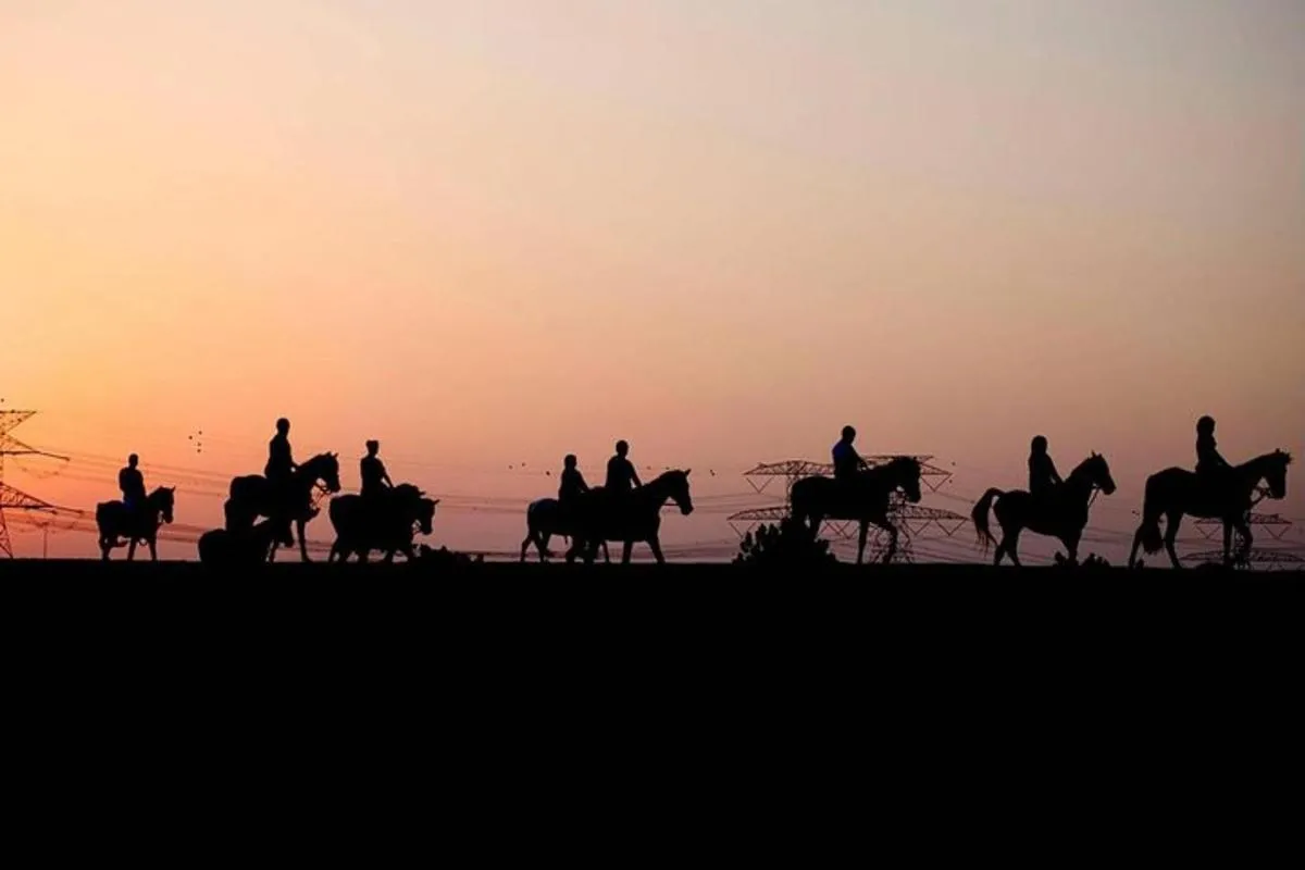 Image 6 of Horseback Riding in Dubai Desert with Transfers