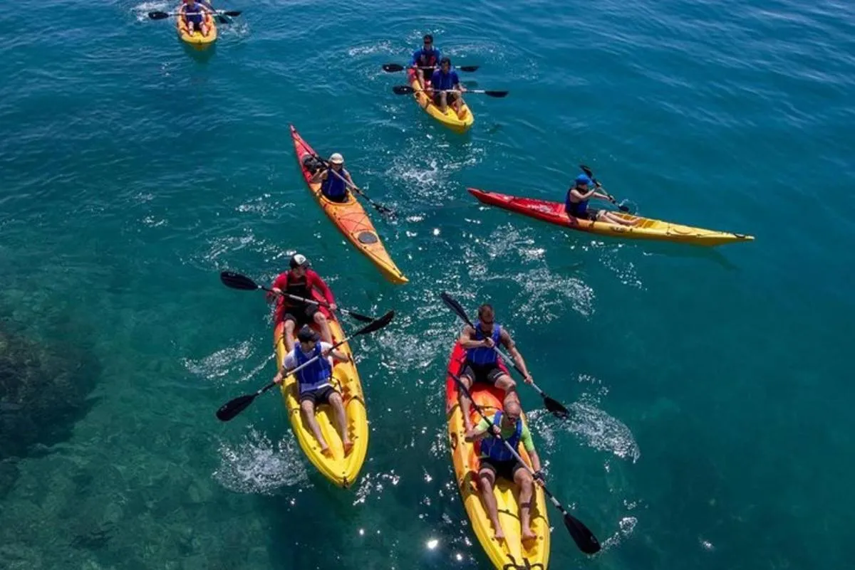 Image 2 of Mangroves Kayaking with Pickup & Drop Off