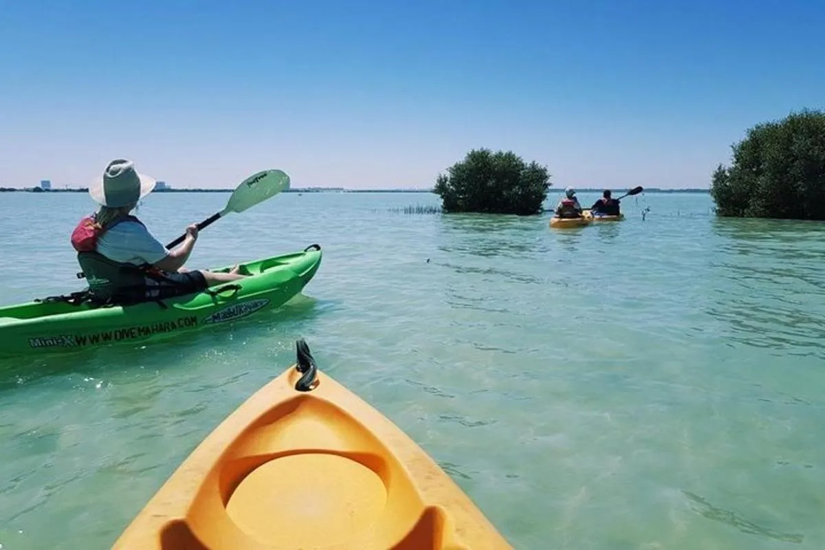 Image 4 of Mangroves Kayaking with Pickup & Drop Off