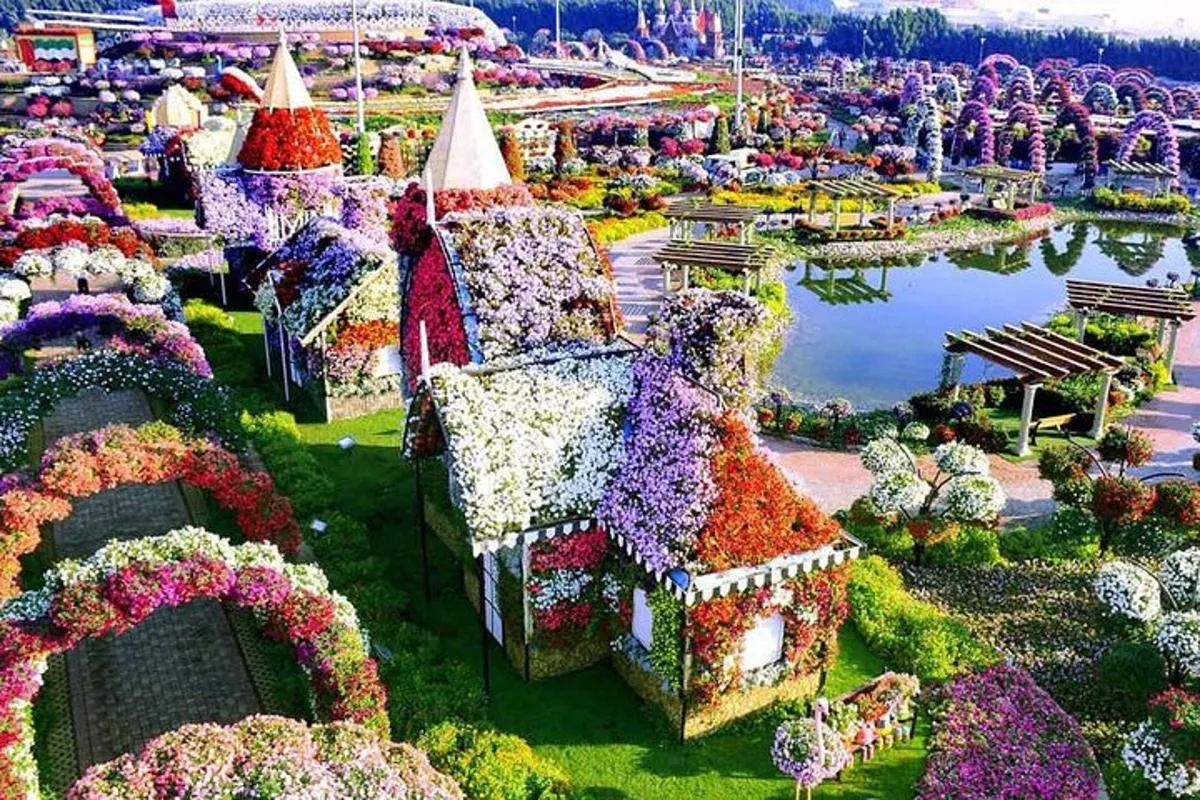Image 3 of Memorable Evening at Dubai Global Village with Dubai Miracle Garden Visit !!