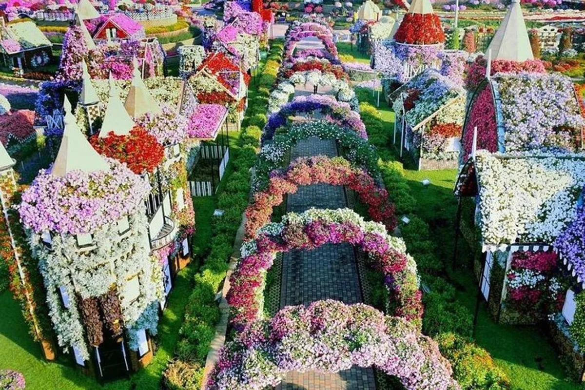 Image 3 of Miracle Garden+Dubai Frame with Sharing Transfers