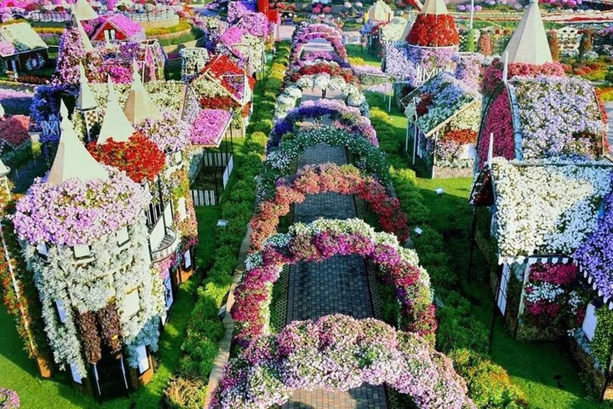 Image 3 of Miracle Garden and Global Village Ticket in Dubai with Transfer