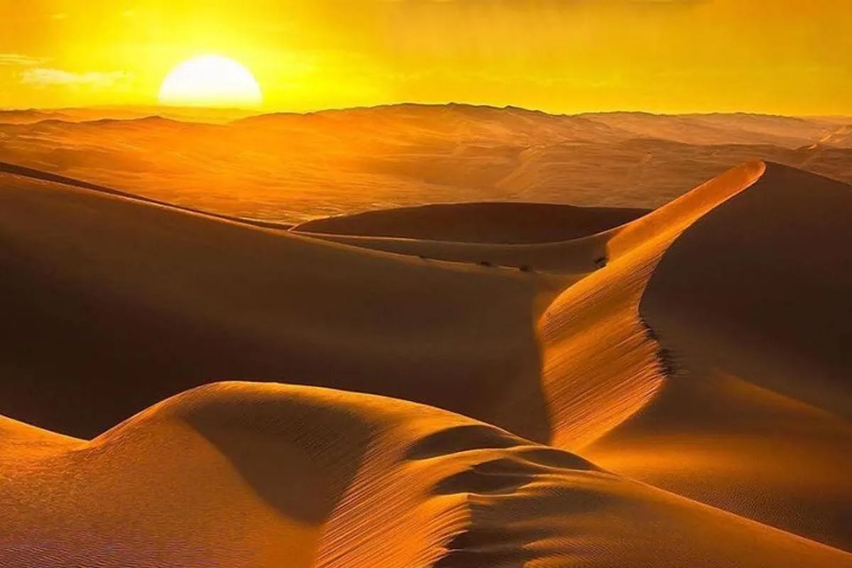Image 1 of Morning Desert Safari with Camel Ride & Sand Skiing Private Tours