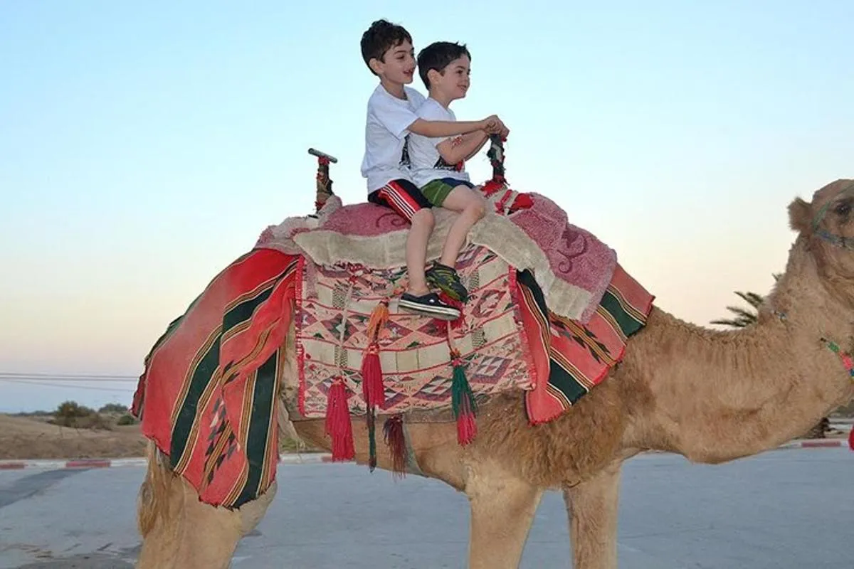 Image 2 of Morning Desert Safari with Camel Ride and Sand boarding