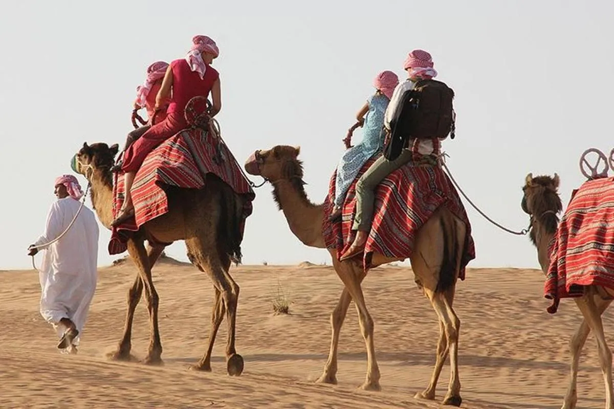 Image 3 of Morning Desert Safari with Camel Ride and Sand boarding