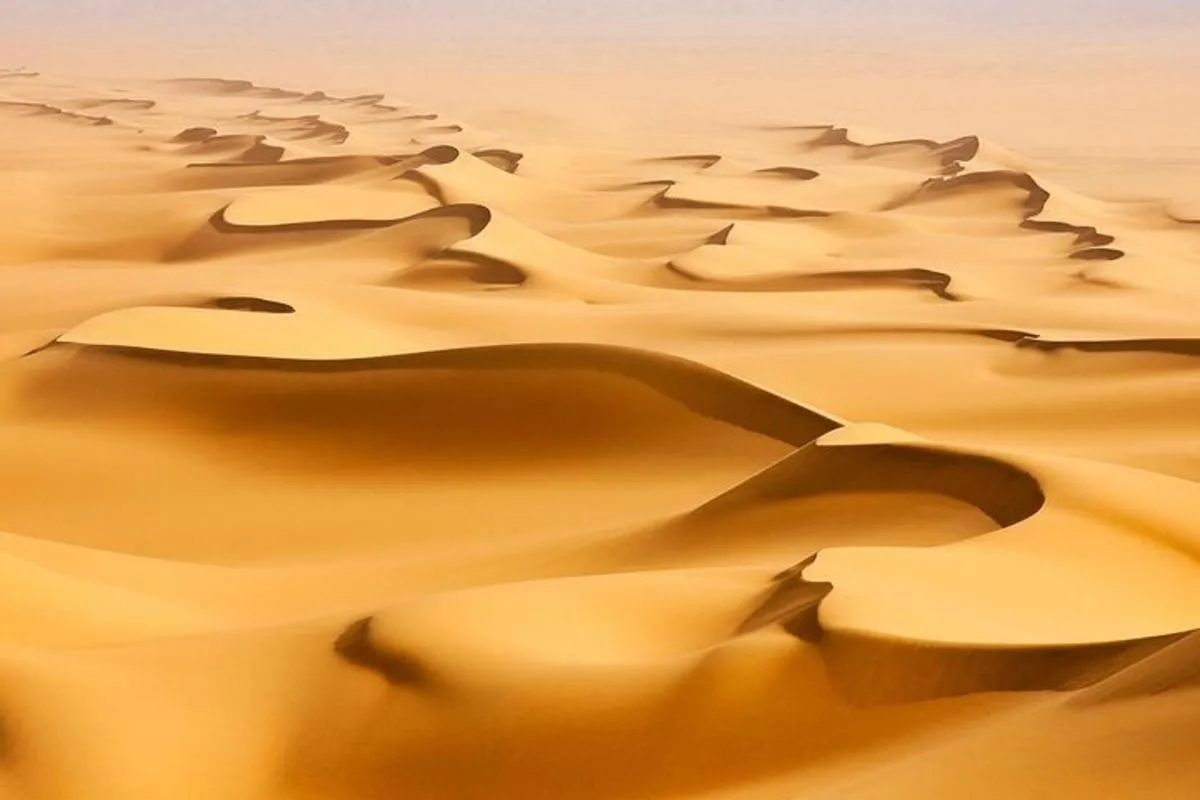 Image 1 of Morning Desert Safari with Camel Ride and Sandboarding