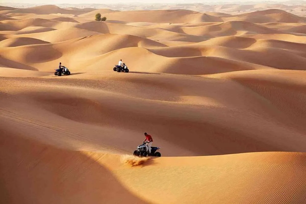 Image 3 of Morning Desert Safari with Quad Bike Tour Abu Dhabi