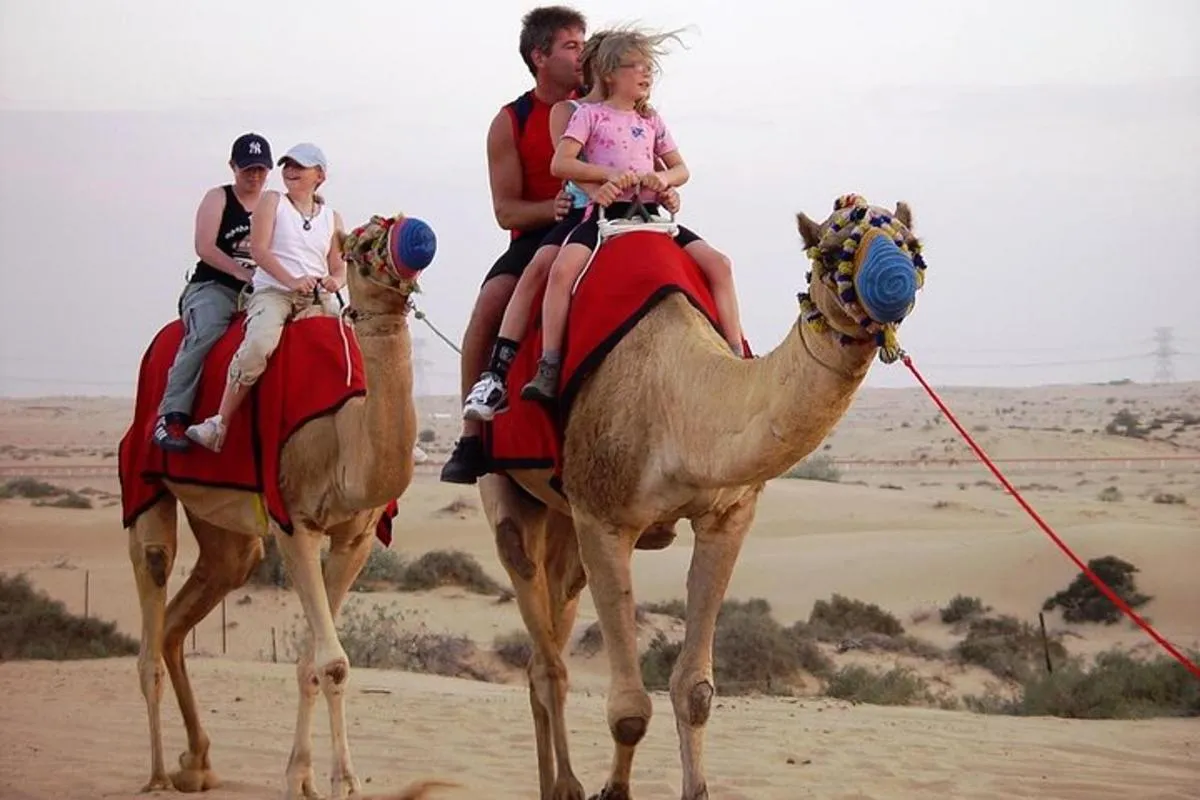 Image 1 of Morning Dubai Desert Safari with Camel Ride & Sand boarding