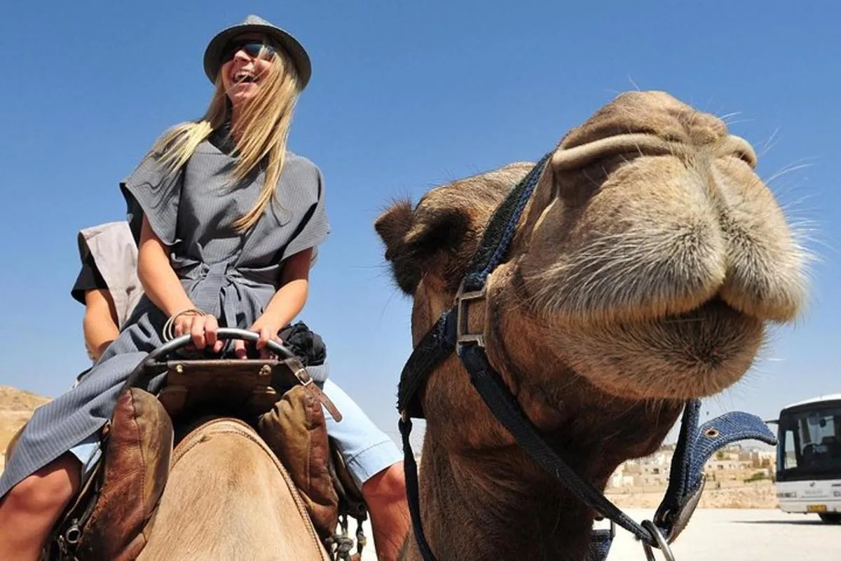 Image 3 of Morning Dubai Quad Bike with Sand boarding and Camel ride