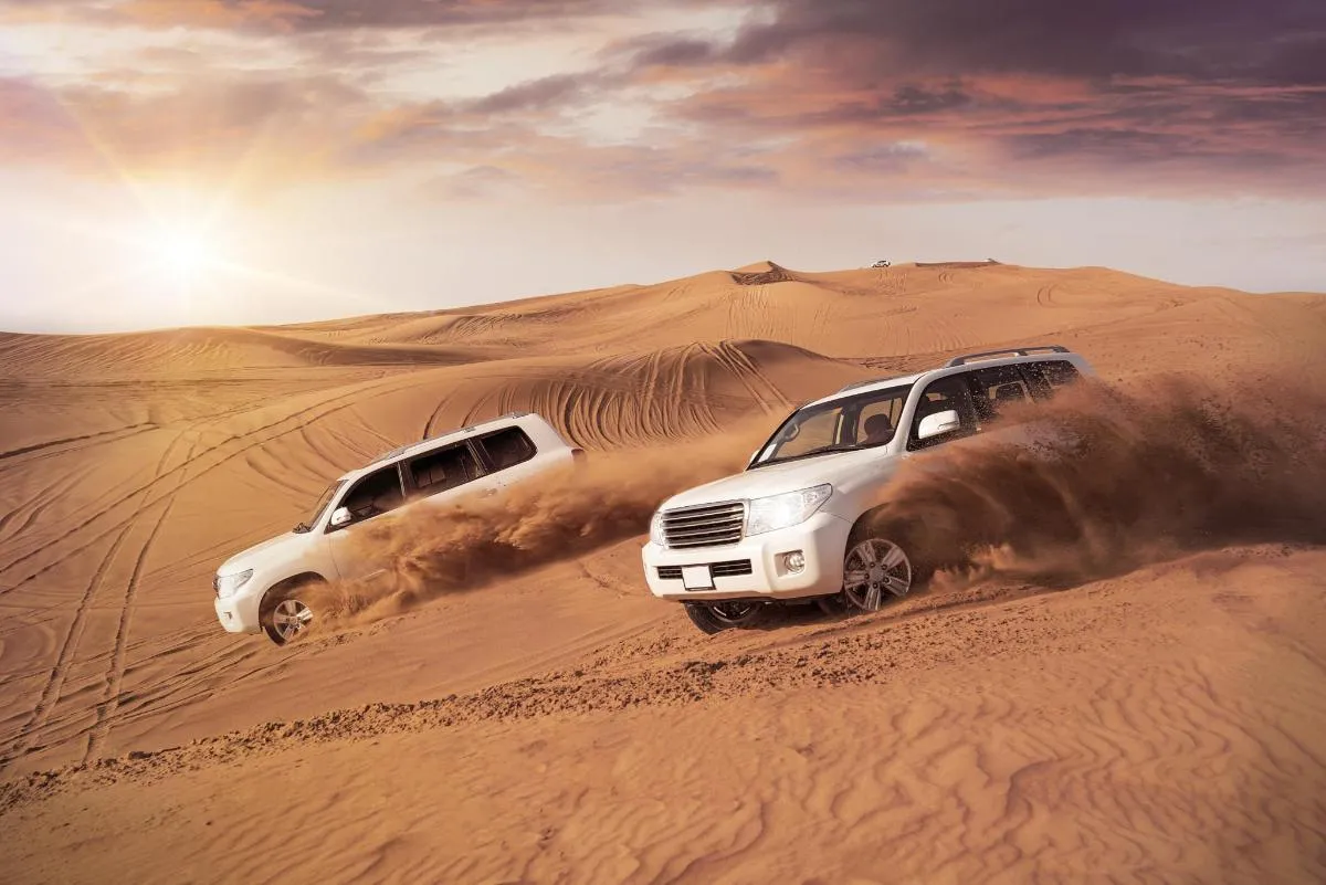 Morning Dune Bashing Tour with Camel Ride