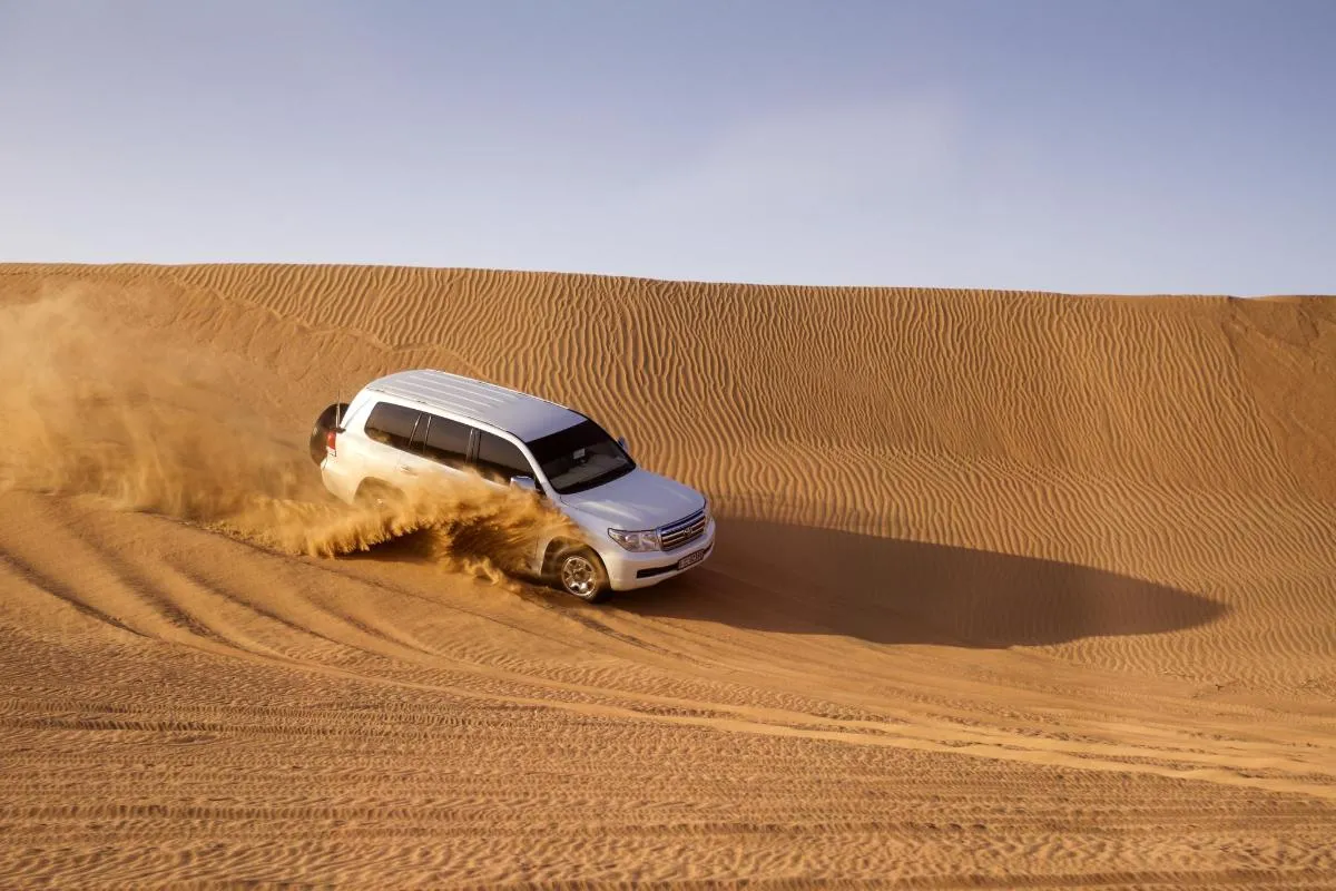 Image 2 of Morning Dune Bashing Tour with Camel Ride