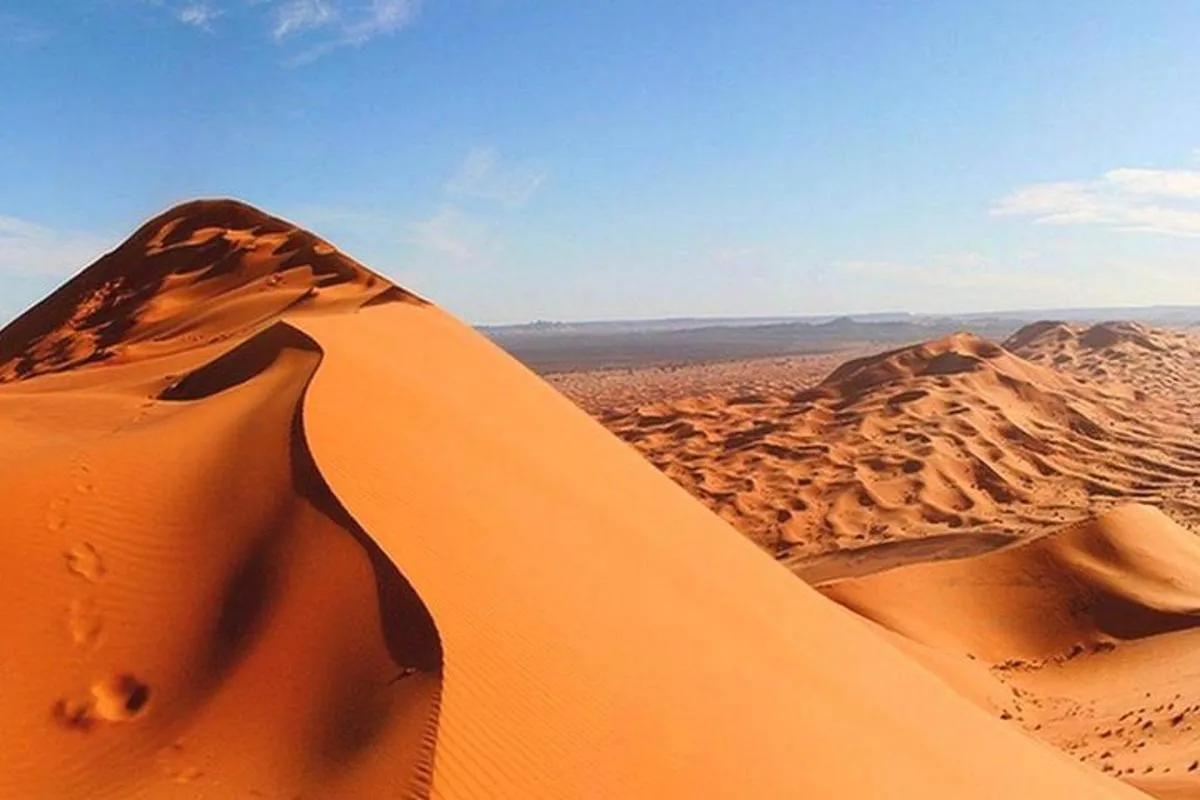 Image 0 of Morning Red Dunes Safari: Camel Ride & Sandboarding Adventure