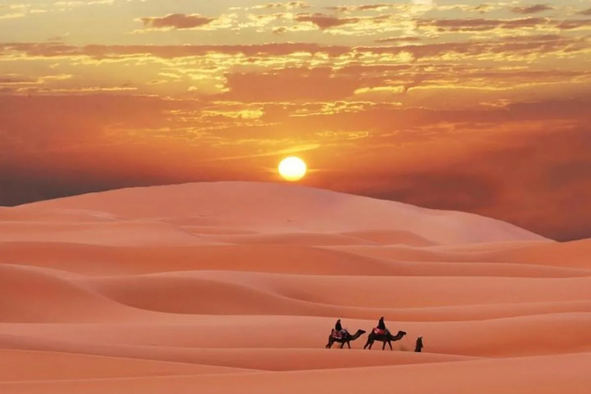 Image 5 of Morning Red Dunes Safari: Camel Ride & Sandboarding Adventure