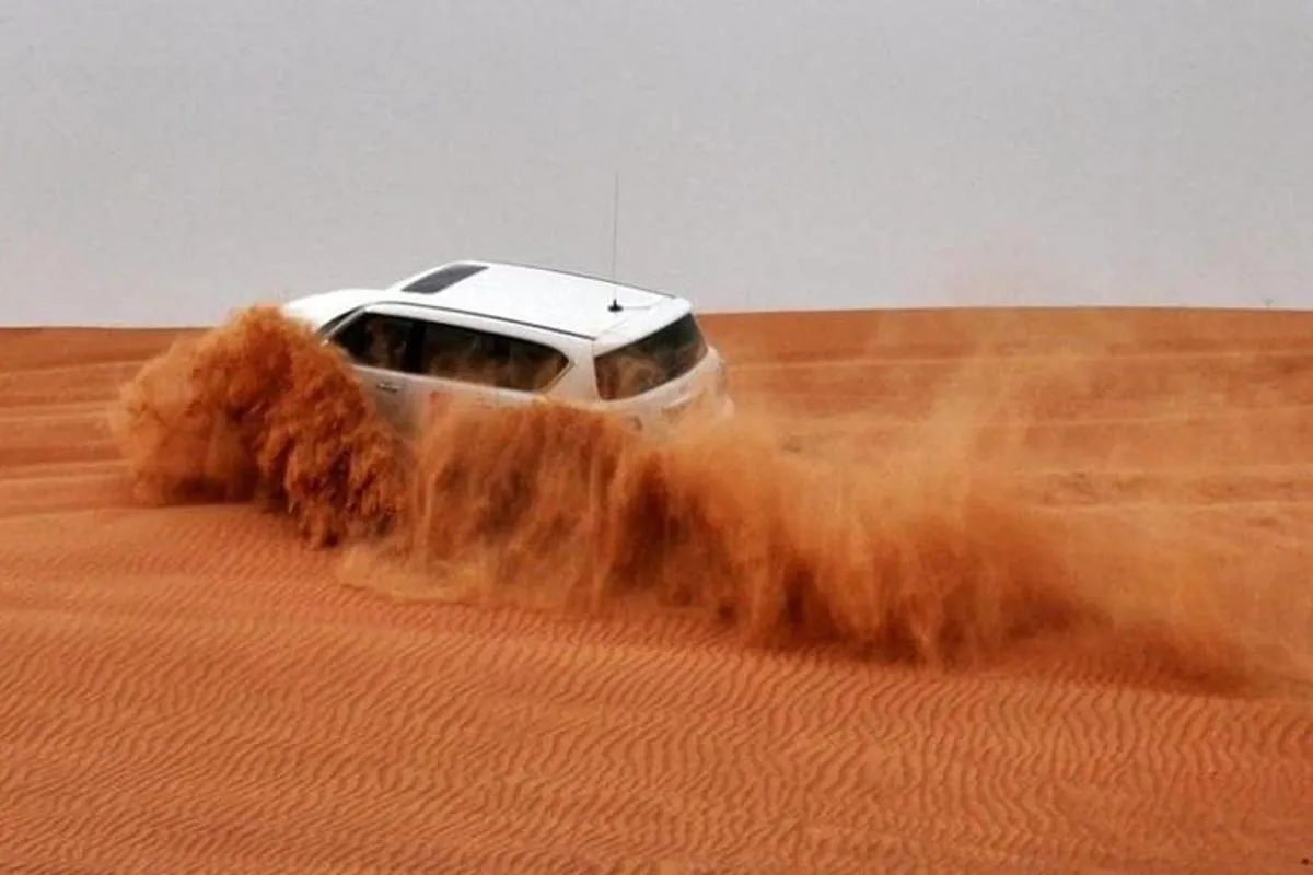 Image 4 of Morning Red Dunes Safari: Quad Biking, Sandboarding & Camel Ride