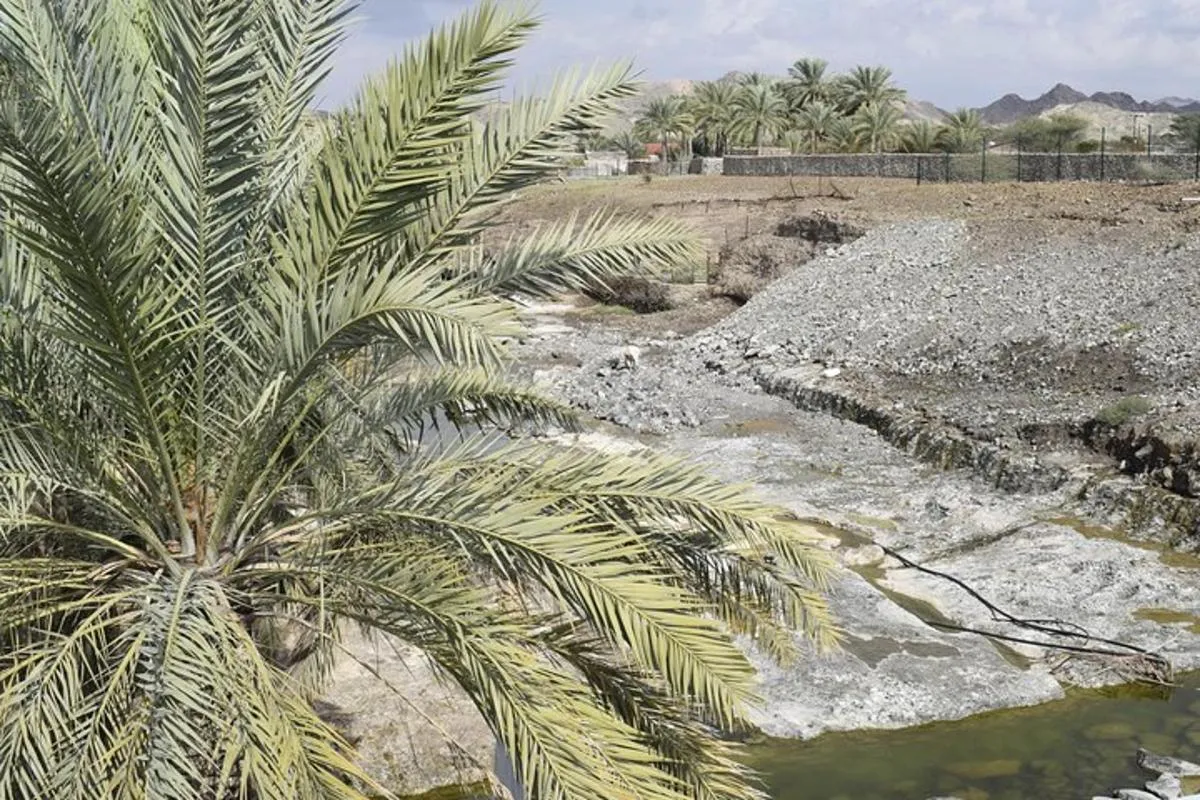 Image 4 of Mountain Safari Tour to Jabel Jais – Ras al Khaimah