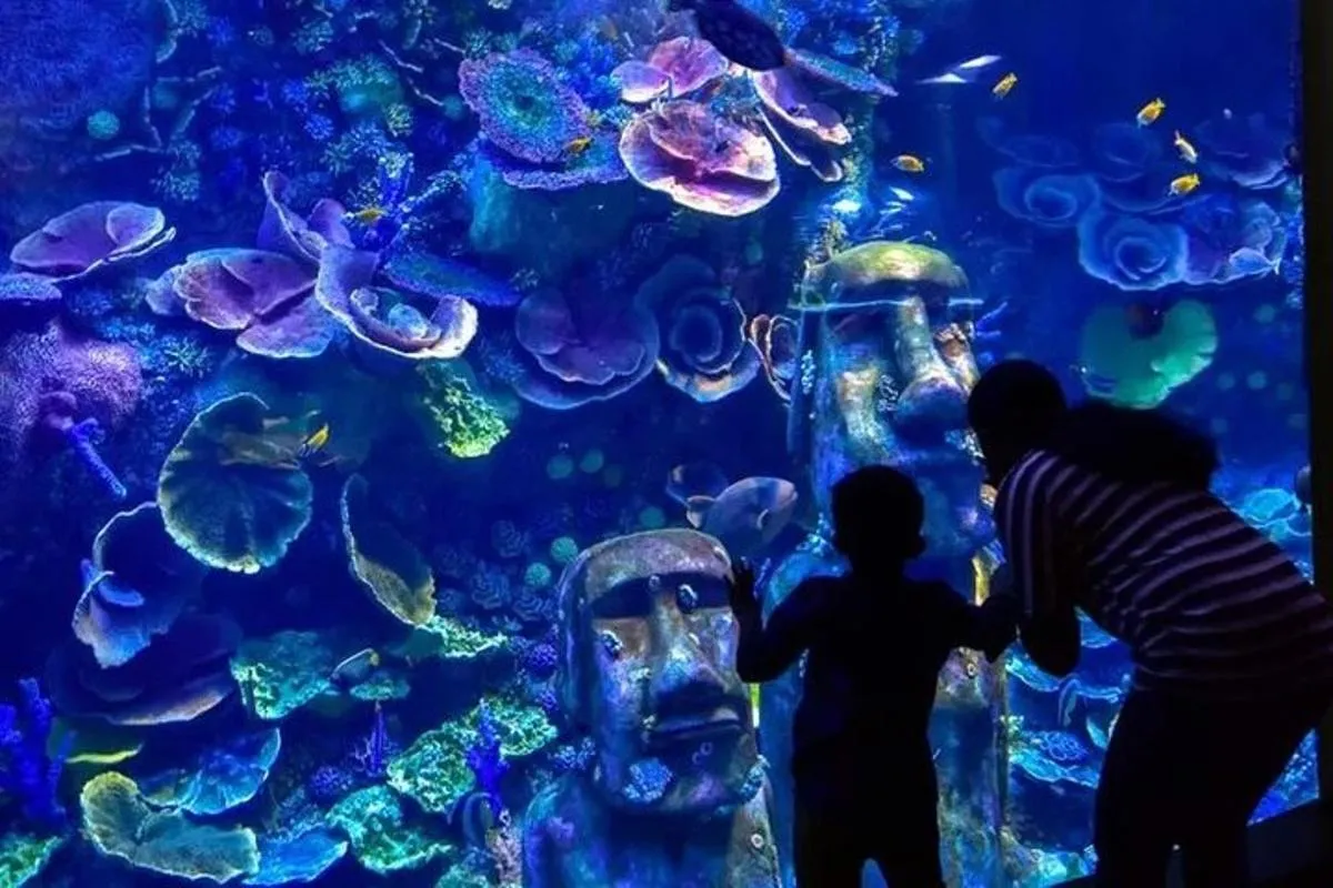 Image 4 of National Aquarium Abu Dhabi Entry Ticket