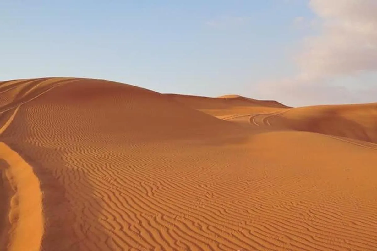 Image 2 of Premium Red Dunes Safari and Camel Safari with BBQ Dinner