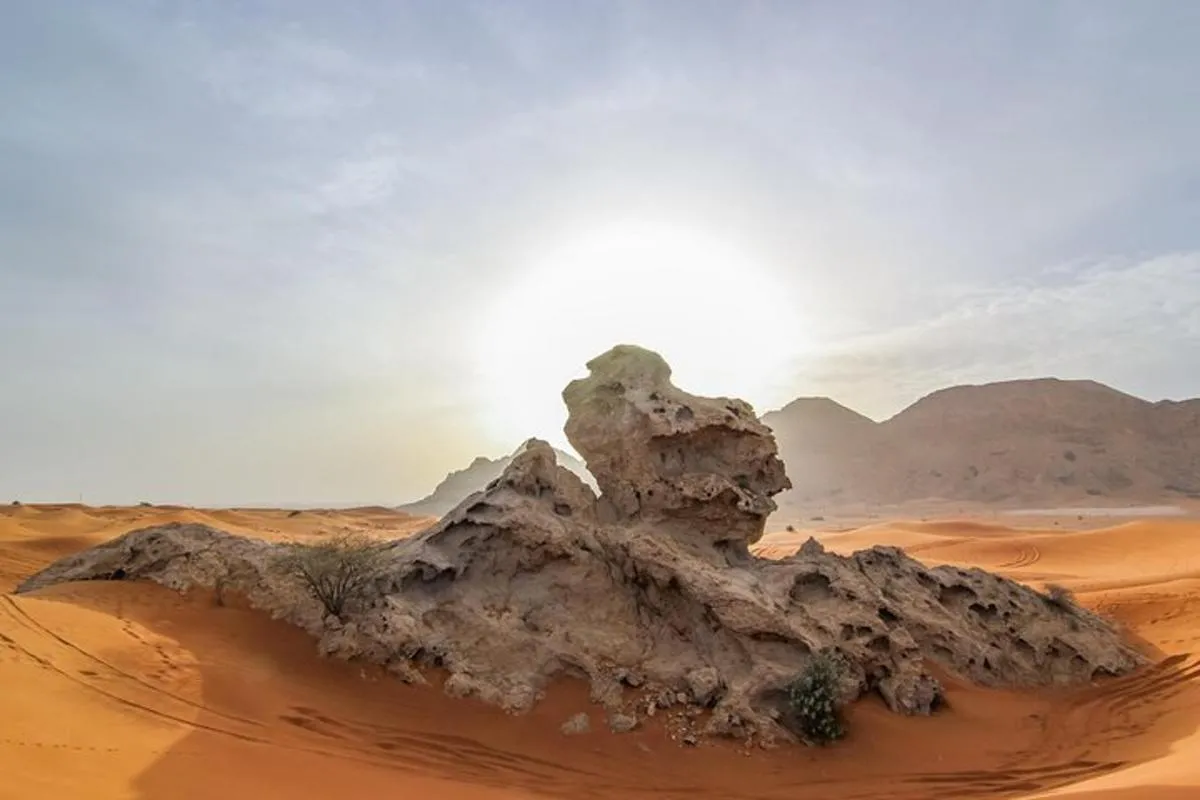 Image 5 of Private 4×4 Desert Drive, Wadi Shawaka Pool Visit with Lunch box