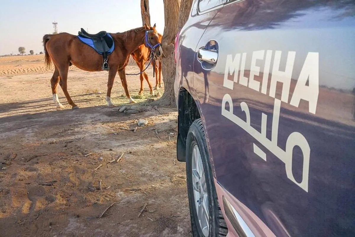 Image 3 of Private 4×4 Mleiha Desert Safari Horse Riding with Museum Visit