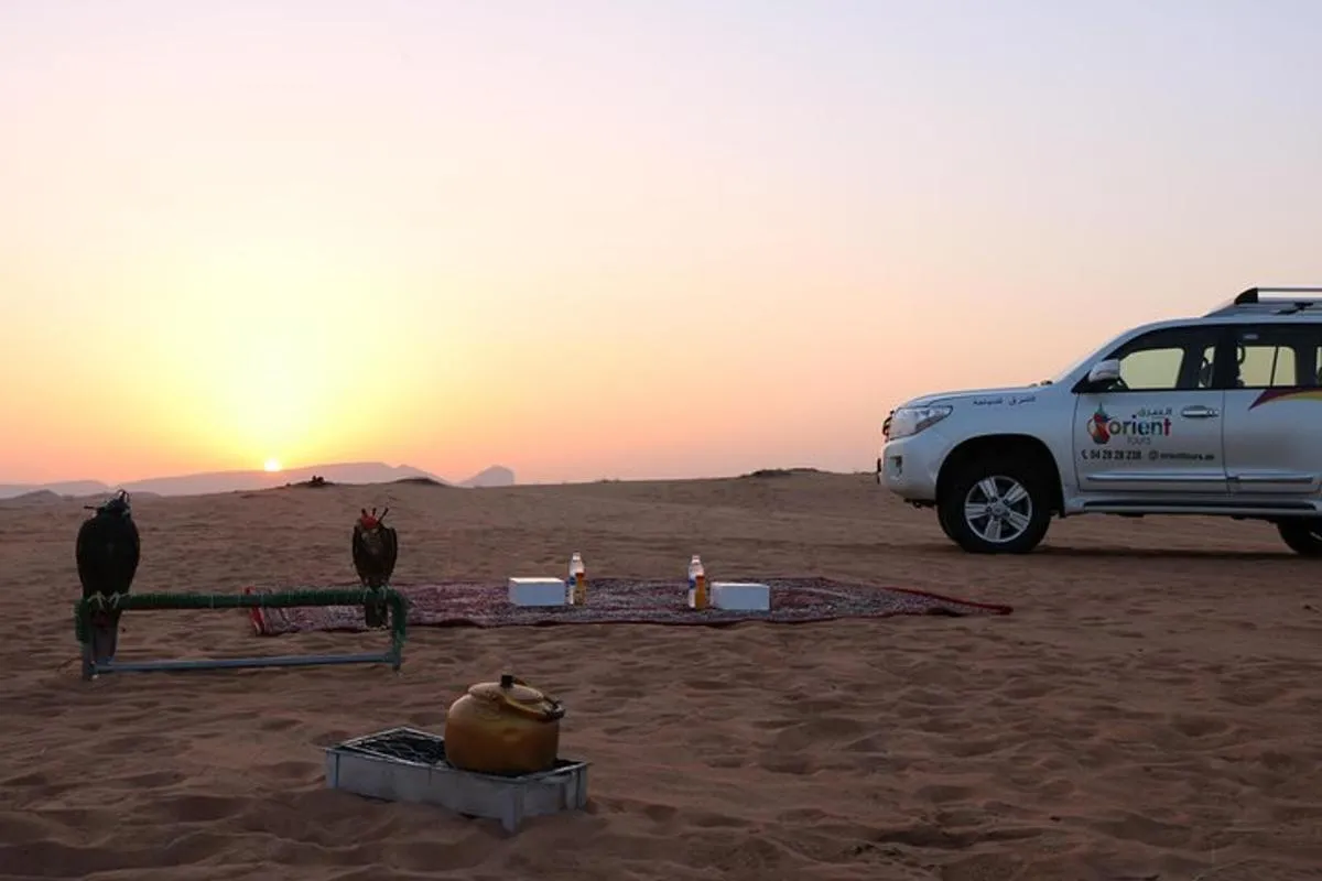 Image 5 of Private 4×4 Sunrise and Wildlife Experience in the Desert
