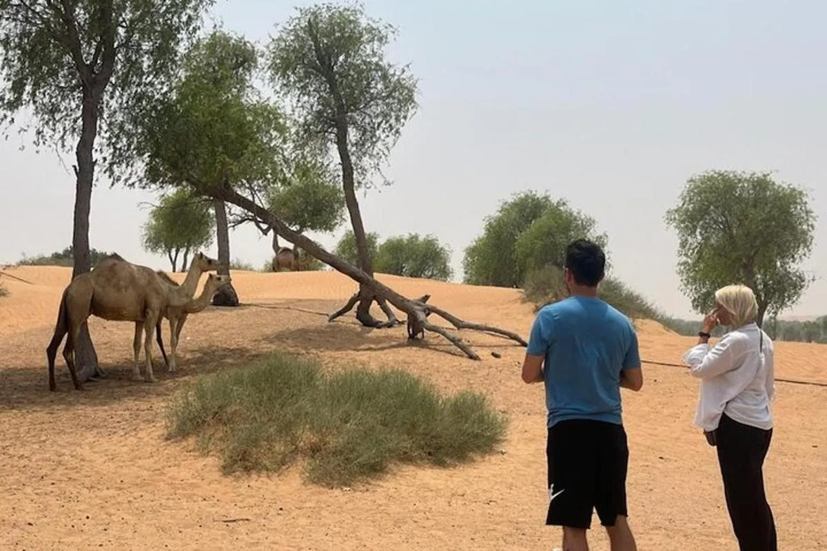 Image 6 of Private Abu Dhabi City Tour